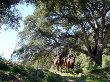 Spain-Southern Spain-Tarifa Riding Getaway